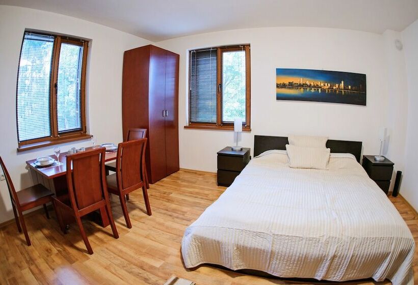 Standard Studio, Mountain View Apart