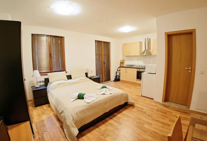 Standard Studio, Mountain View Apart