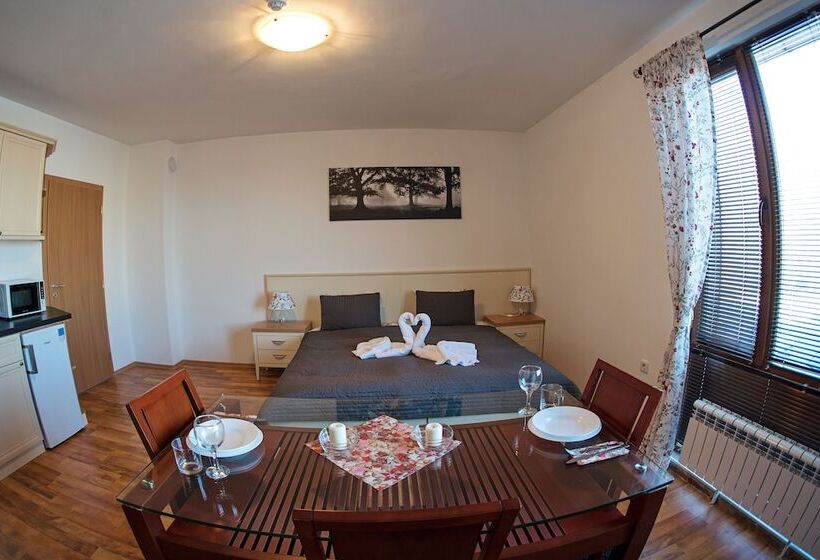 Standard Studio, Mountain View Apart