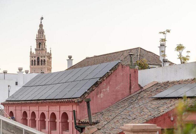 استودیوی استاندارد, Green Apartments Alto De Santa Cruz