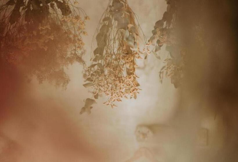 수피리어 룸, Buzz Resort