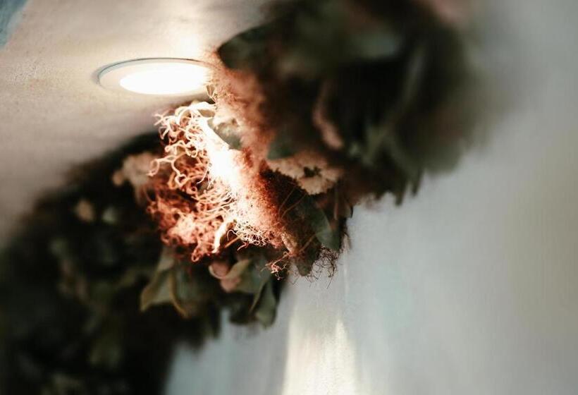 수피리어 룸, Buzz Resort