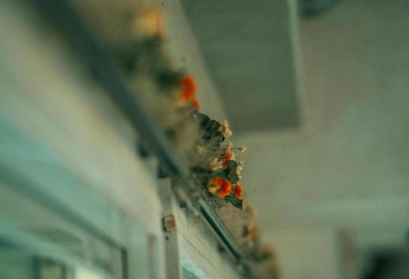 수피리어 룸, Buzz Resort