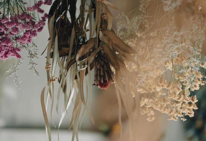 수피리어 룸, Buzz Resort