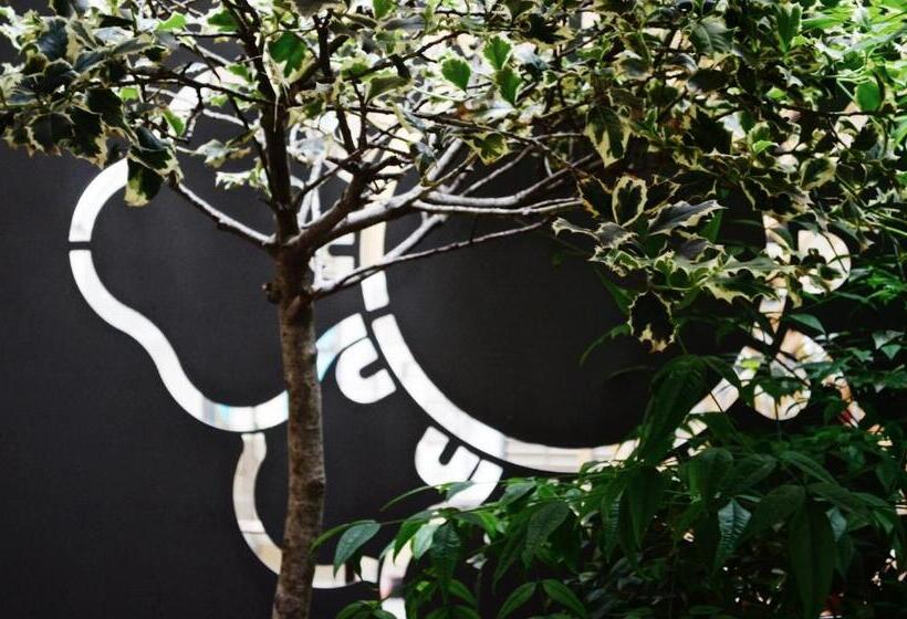 إستوديو قياسى مزودة بتراس, Piazza Castello Suite