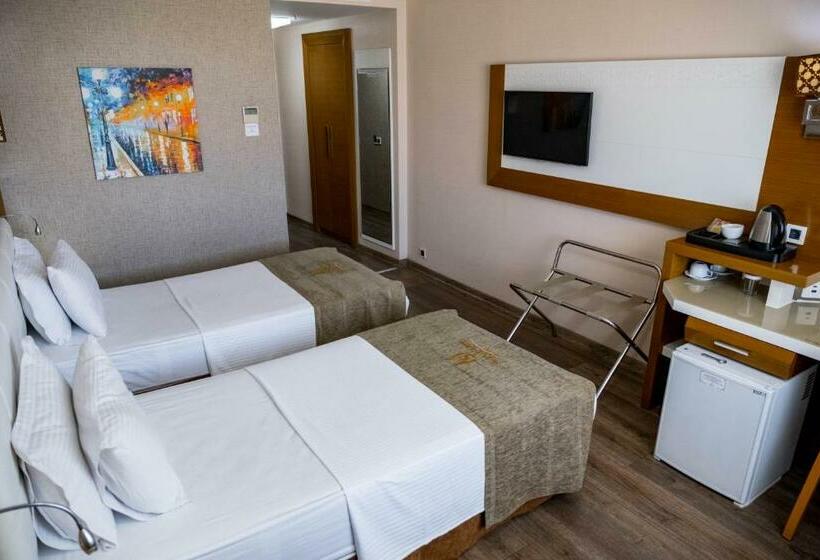 스탠다드 룸, Selçuk