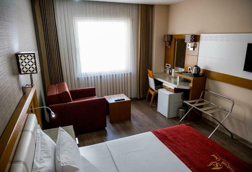 스탠다드 룸, Selçuk