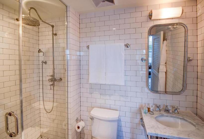 סוויטה עם טרסה, The Plymouth South Beach