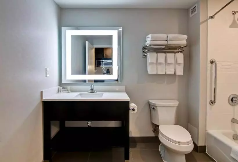 シティビューのスタンダードスタジオ, Towneplace Suites By Marriott Kincardine