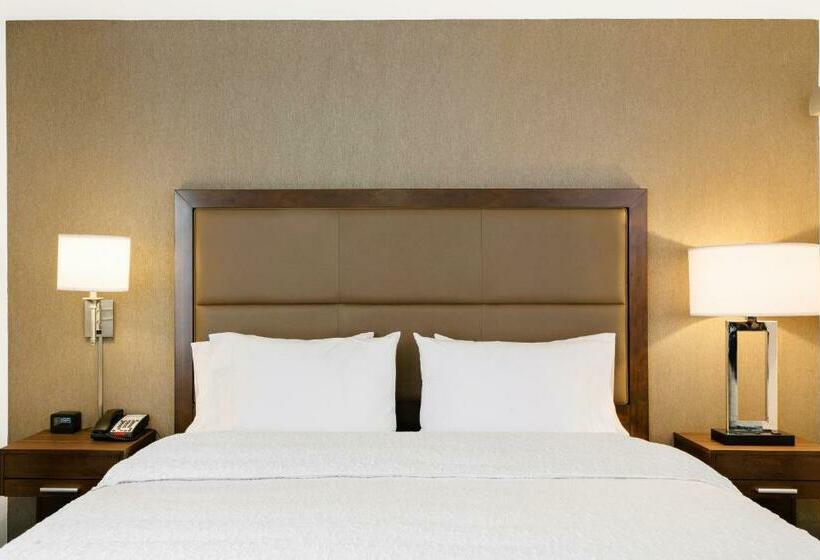 اتاق استاندارد با تخت بزرگ برای معلولان, Hampton Inn & Suites Dallas Downtown