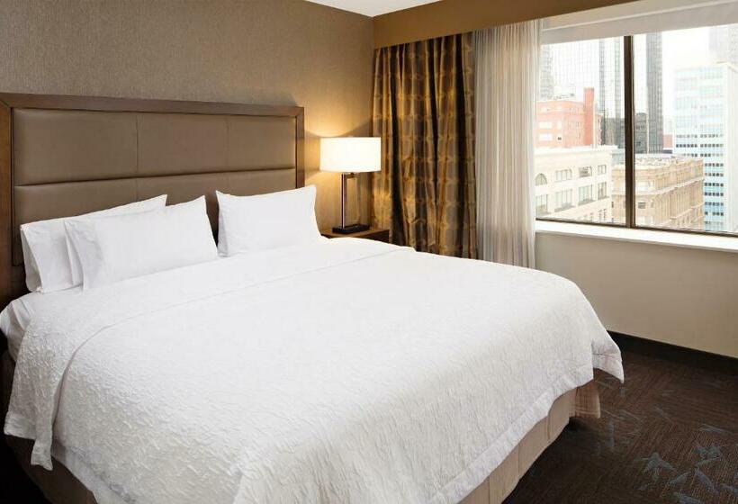 اتاق استاندارد با تخت بزرگ, Hampton Inn & Suites Dallas Downtown