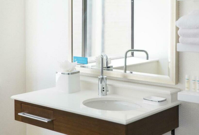 اتاق استاندارد با تخت بزرگ برای معلولان, Hampton Inn & Suites Dallas Downtown