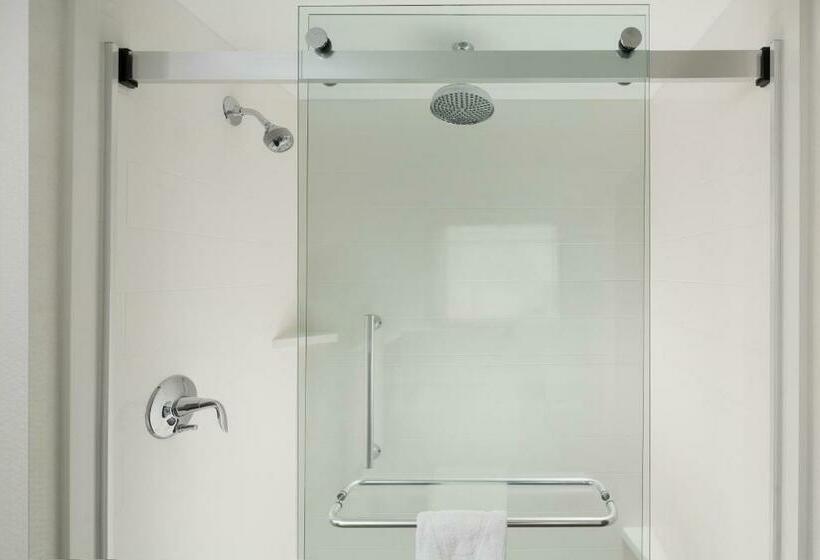 استودیو استاندارد با تخت کینگ, Hampton Inn & Suites Dallas Downtown