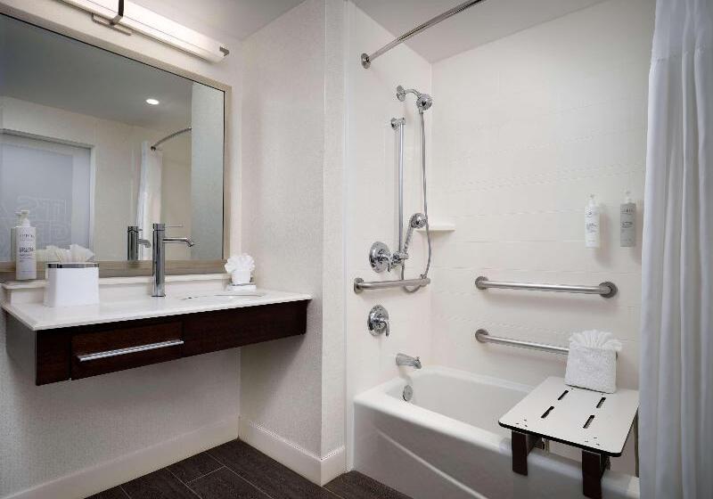 استودیو استاندارد با تخت کینگ, Hampton Inn & Suites Dallas Downtown