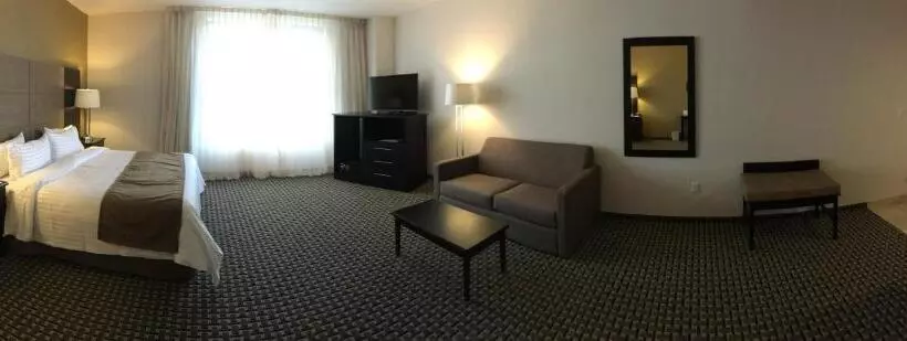 スイート, Holiday Inn Mexico Santa Fe, An Ihg