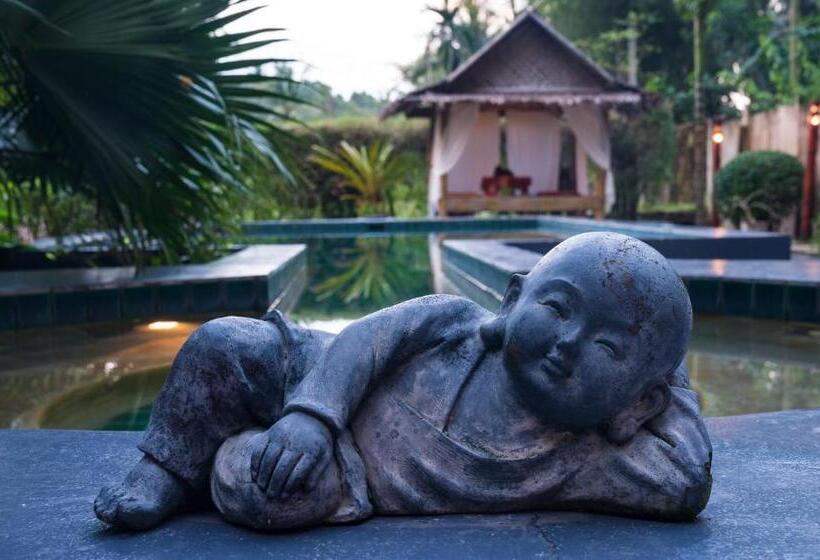 جناح, Leeloo Paradise