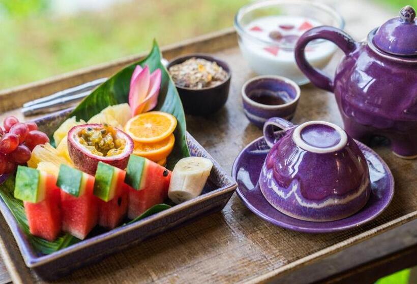 بنجلو عائلى, Leeloo Paradise