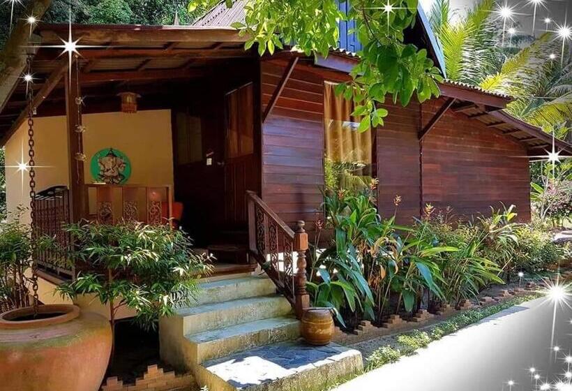 بنجلو عائلى, Leeloo Paradise