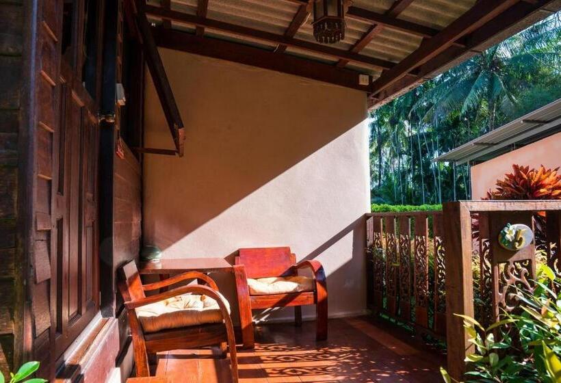 جناح, Leeloo Paradise