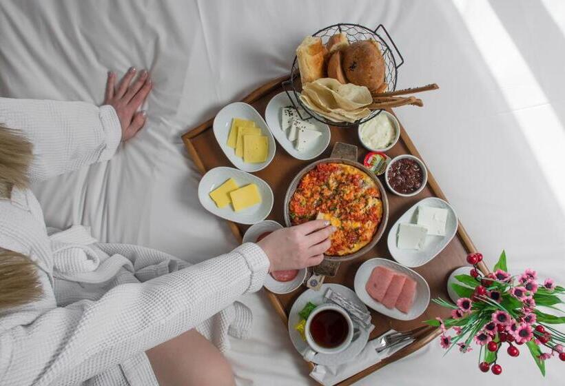 اتاق لوکس سه تخته, Sheki Palace