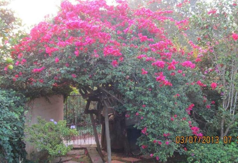 اتاق لوکس, The Jays Guest House