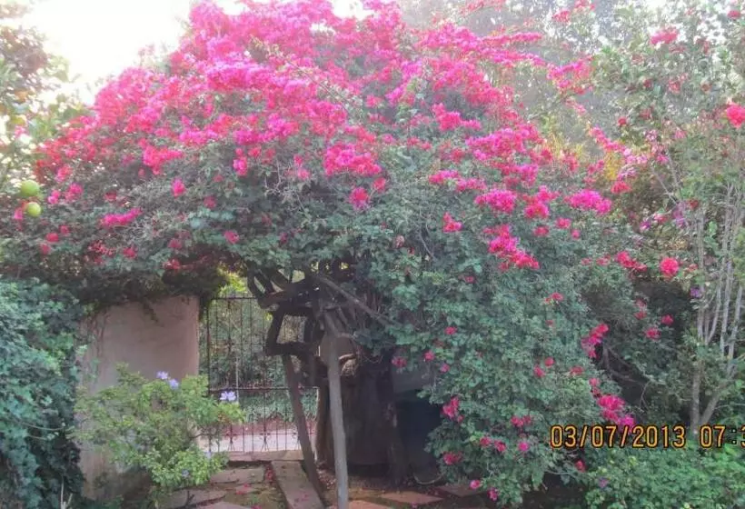 اتاق لوکس, The Jays Guest House