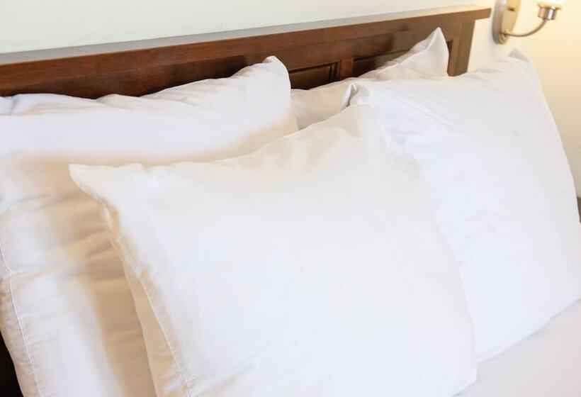 اتاق استاندارد با تخت دوبل, The Lodgings Hotel Surestay Collection By Best Western
