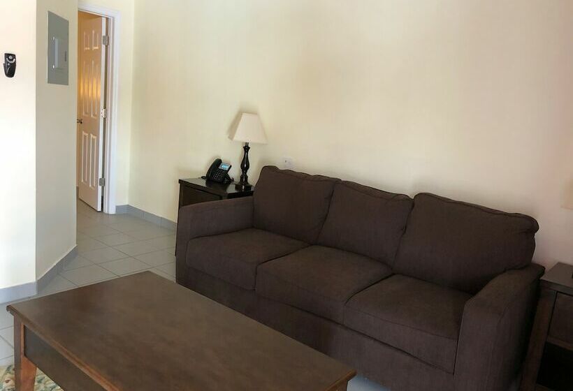 اتاق استاندارد با تخت دوبل, The Lodgings Hotel Surestay Collection By Best Western