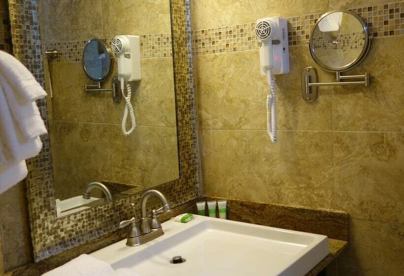 اتاق استاندارد با تخت دوبل, The Lodgings Hotel Surestay Collection By Best Western