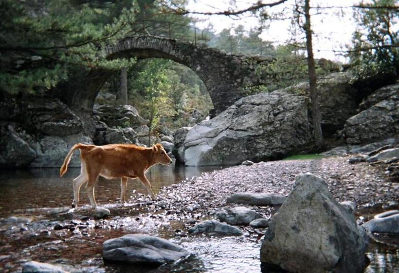 스탠다드 테라스 룸, U Pasturellu