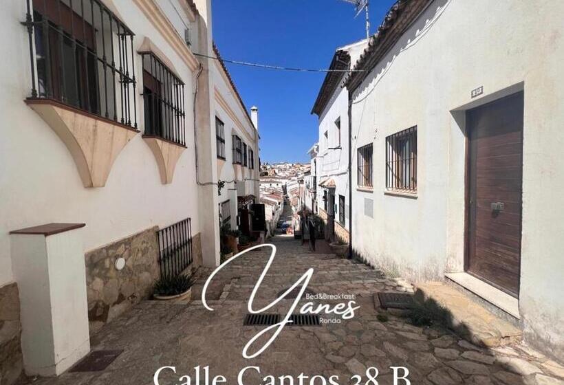 اتاق استاندارد با تراس, Yanes Bed And Breakfast Ronda