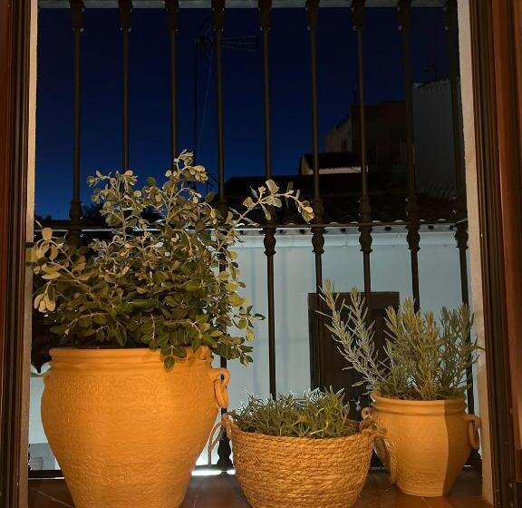 اتاق لوکس, Yanes Bed And Breakfast Ronda