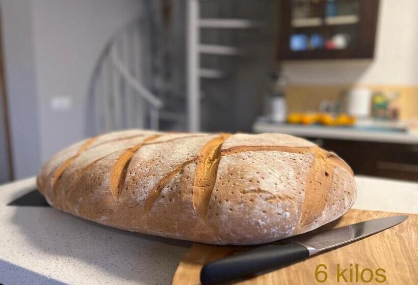 اتاق استاندارد چهار تخته, Yanes Bed And Breakfast Ronda