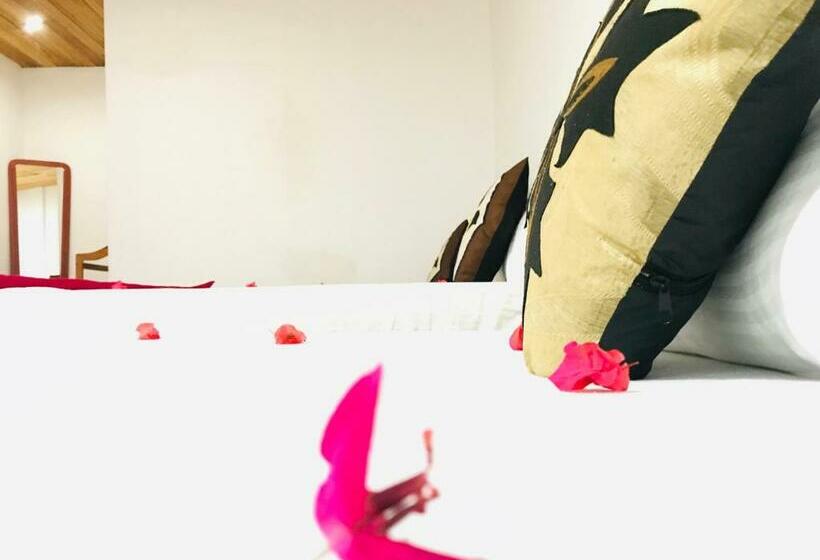 带大床的标准间, La Breeze