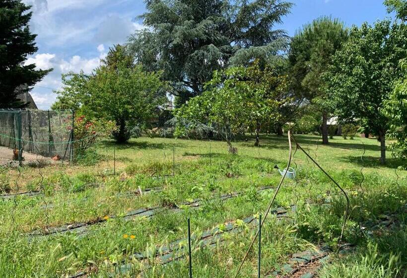Family Suite, Domaine De Bellevue