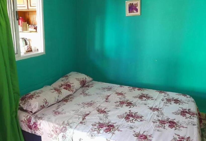 غرفة أساسية, Hostel Loli