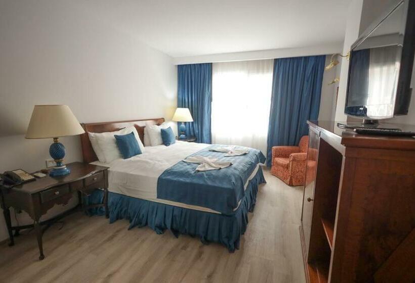 اتاق استاندارد با چشم‌انداز کوهستان, Altinoluk Otel