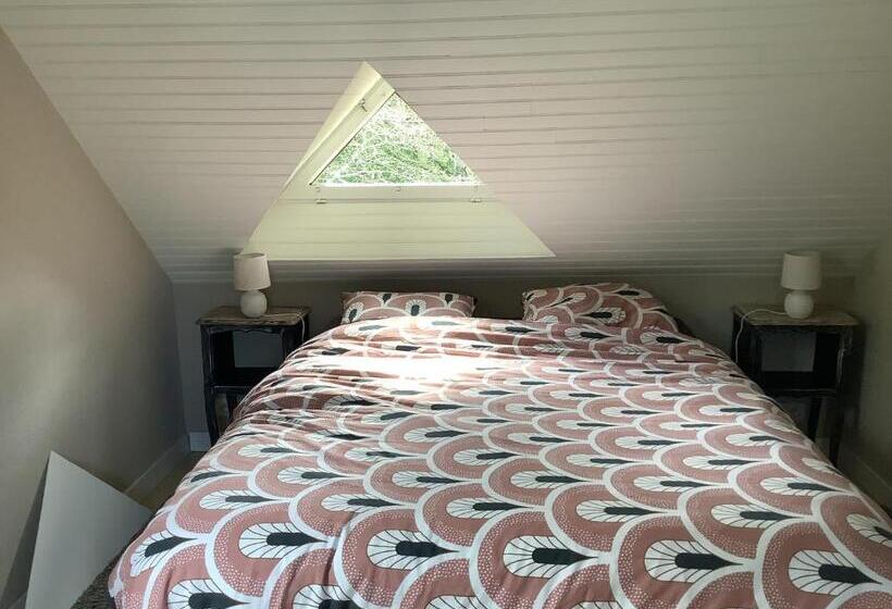 スタンダードルーム, Blanche & Basil