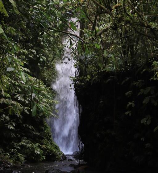 חדר סטנדרט יחיד, Bale Villa Central Lombok