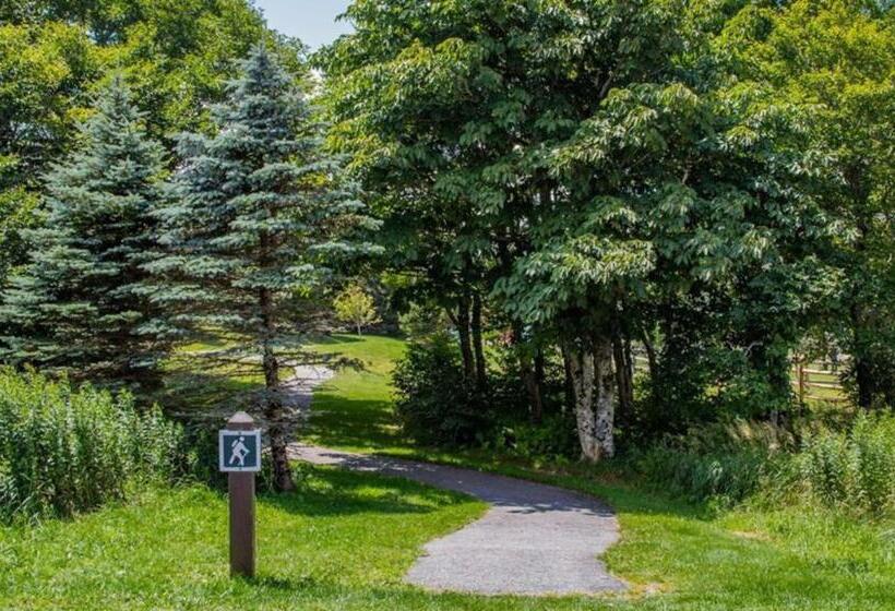 شقة غرفة واحدة ذات إطلالة, Adventure Awaits