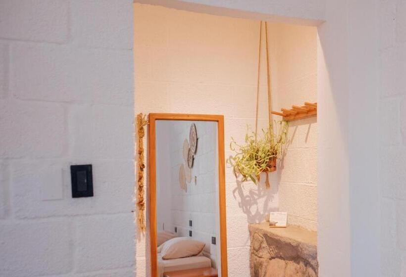 标准间, Hostal Pimampiro