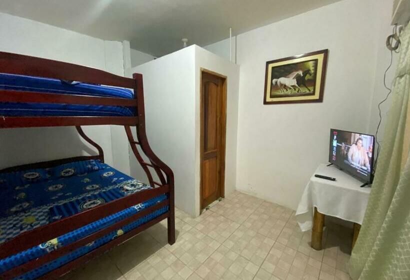 اتاق استاندارد سه نفره, Ufo Rooms