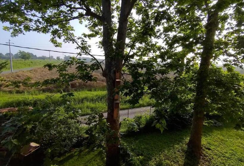 디럭스 룸, Outlander Cottage Family B&b