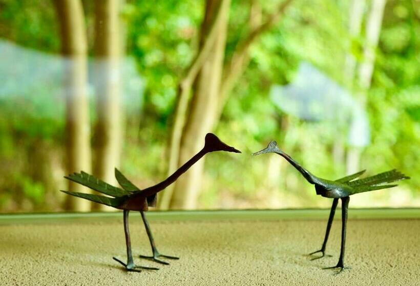 Standart Oda, 奥武雄温泉 風の森