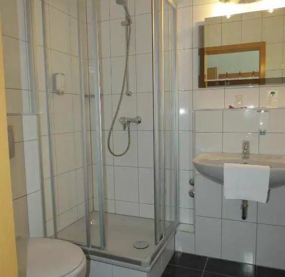 اتاق استاندارد, Ates Hotel Lampertheim