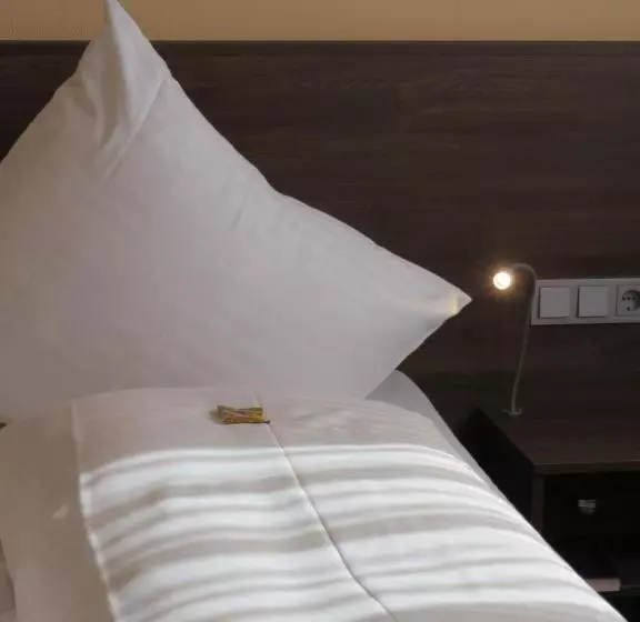 اتاق لوکس یک تخته, Ates Hotel Lampertheim