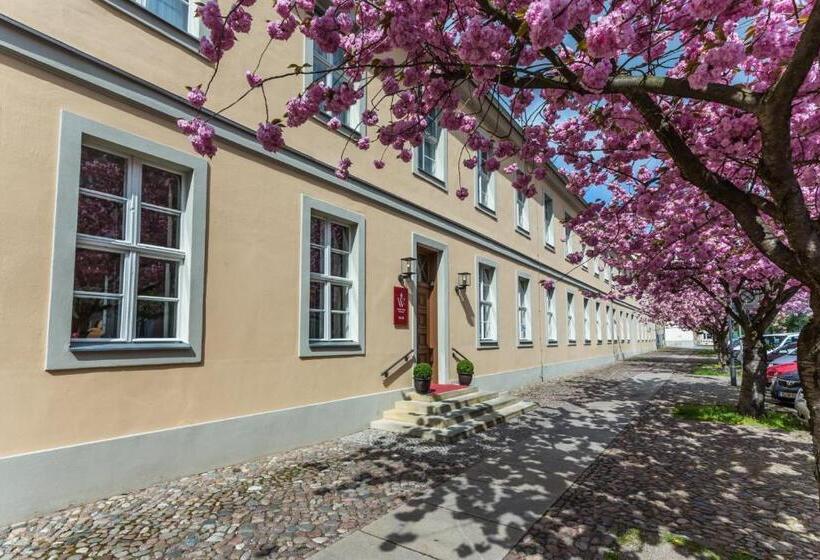 标准单人间, Am Großen Waisenhaus