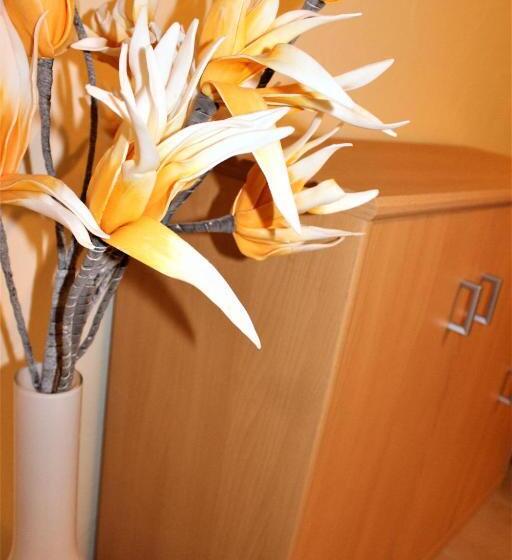 Четырехместный Номер Стандарт, America