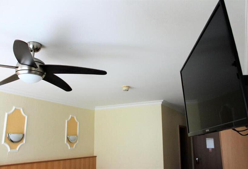 Одноместный Номер с Террасой, America