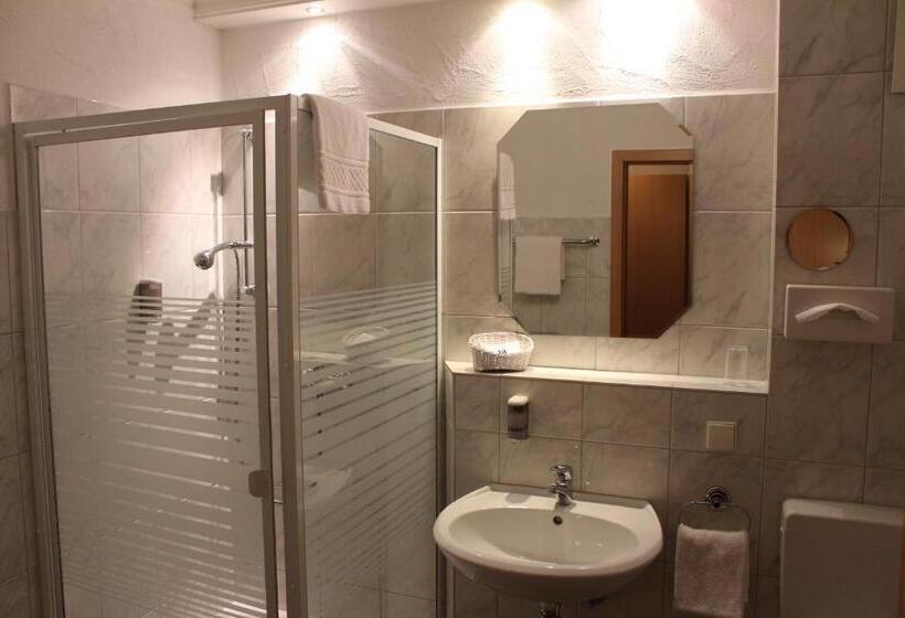 Одноместный Номер с Террасой, America